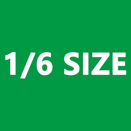 1/6 Size-PP