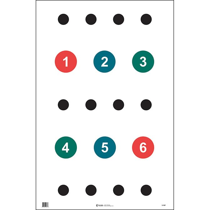 V-10P Paper Command Training Target - High-Quality Shooting Practice for Law Enforcement & Military | Indoor & Outdoor Range Use