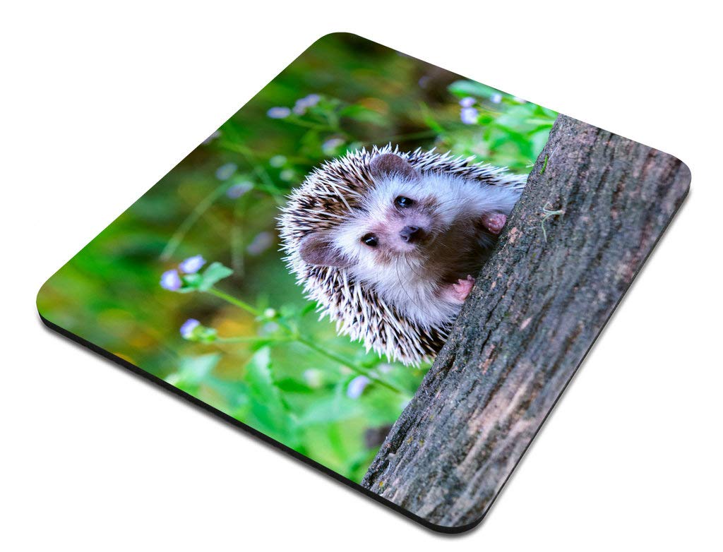 Custom Cute Animal Gaming Mouse Pad - Dwarf Hedgehog on Stump Design | Large Non-Slip Rubber Base | Perfect for PC, Laptop, Office & Gaming Setup