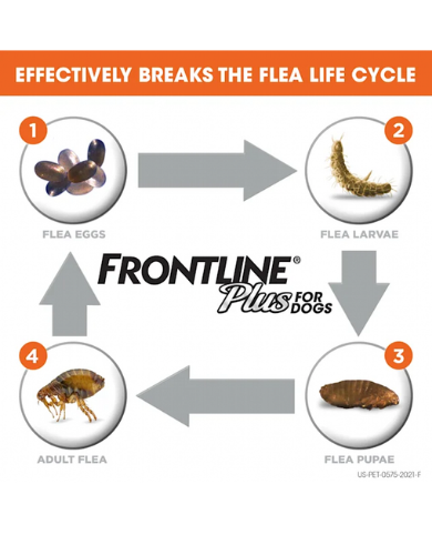 Frontline Plus Flea & Tick Treatment for Small Dogs Under 10kg - 6 Month Supply (2 Sizes) | Fast-Acting Protection for Indoor & Outdoor Pets
