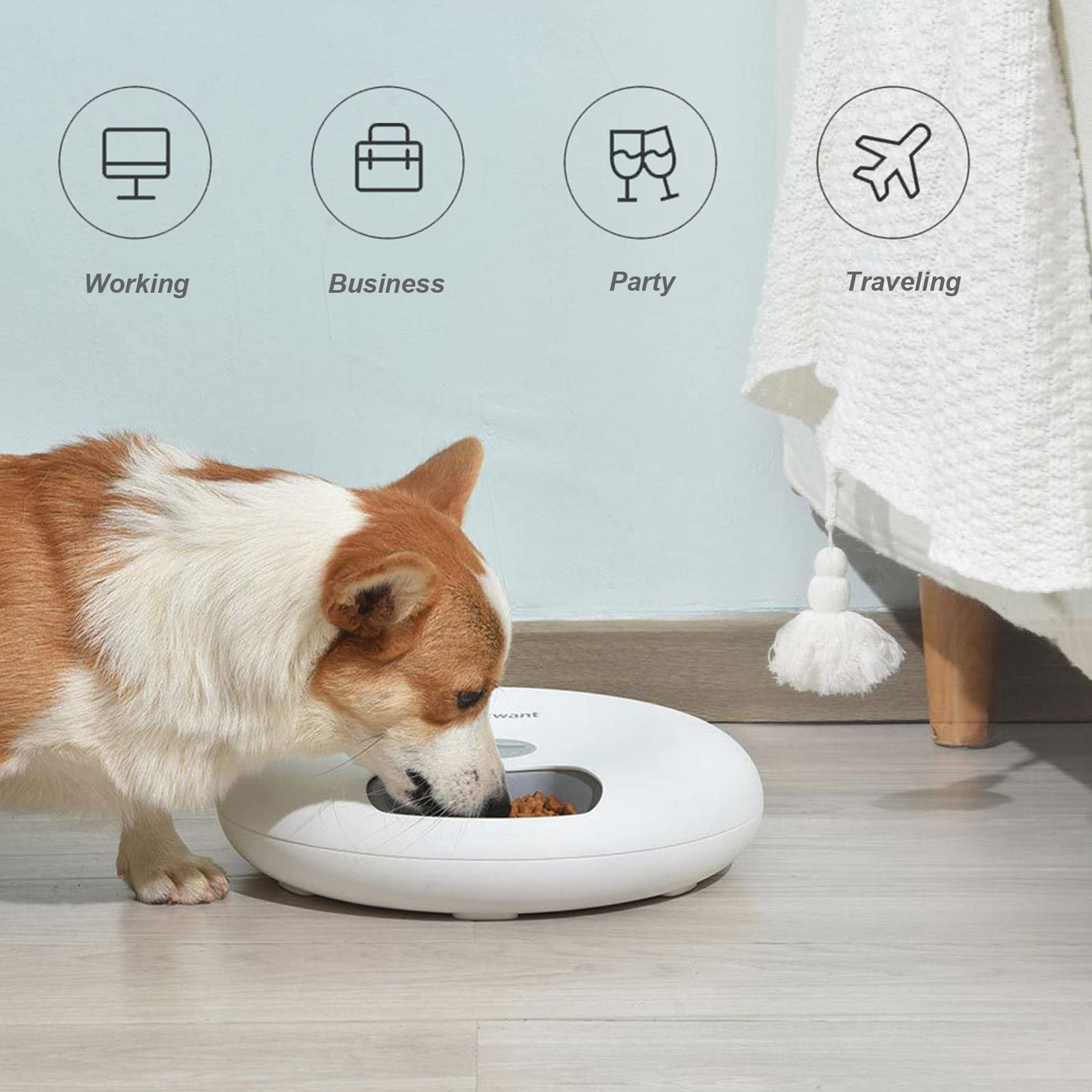 6-Meal Automatic Pet Feeder - Smart Portion Control Dog & Cat Food Dispenser for Dry/Wet Food - Timer Programmable Pet Feeder for Small & Medium Pets - Perfect for Travel, Workdays & Busy Pet Owners