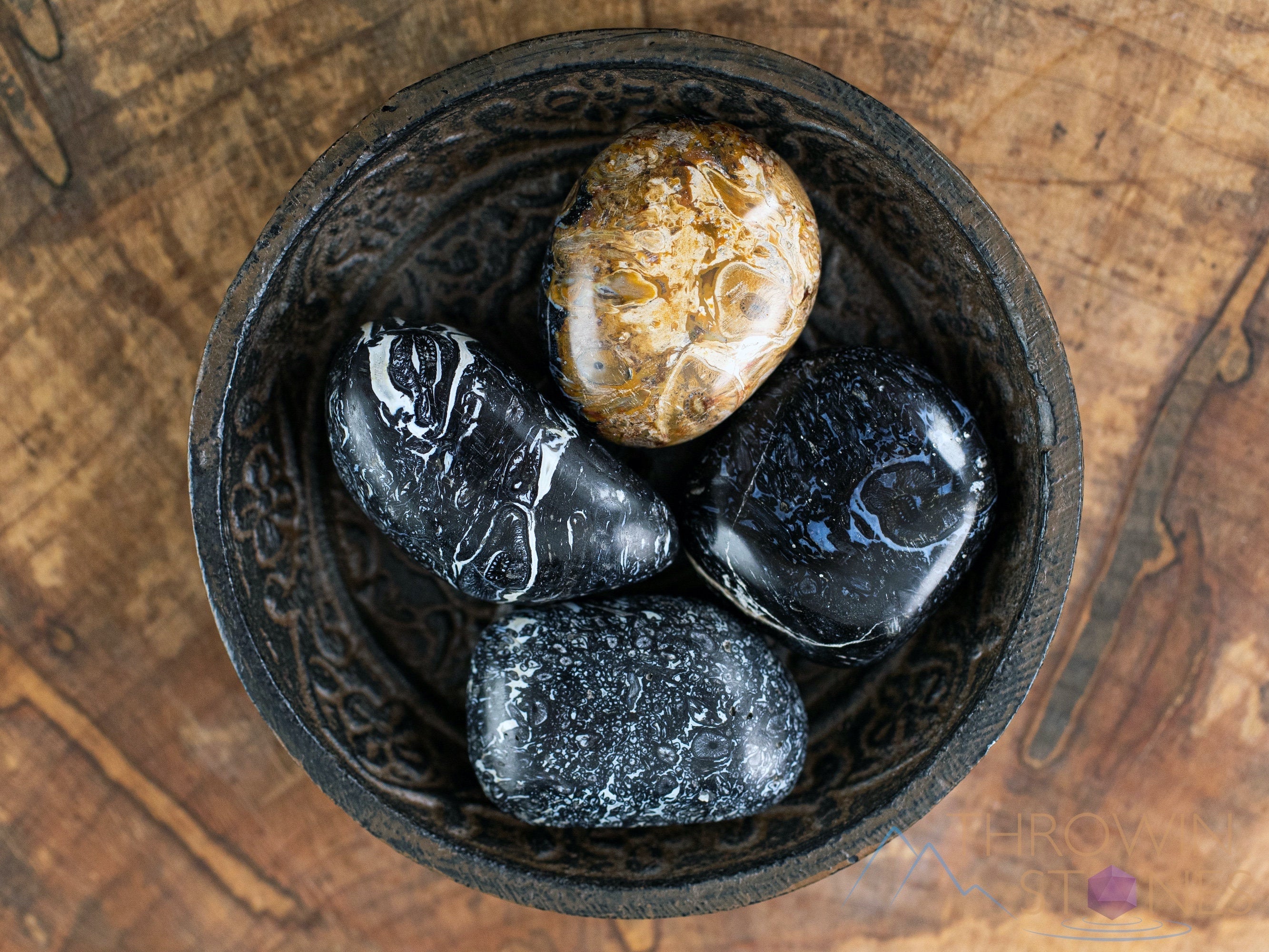 Fossilized Palm Wood Tumbled Stones - Natural Healing Crystals for Self Care, Meditation & Energy Balancing - E1745 | Perfect for Home Decor, Yoga Spaces & Spiritual Practices