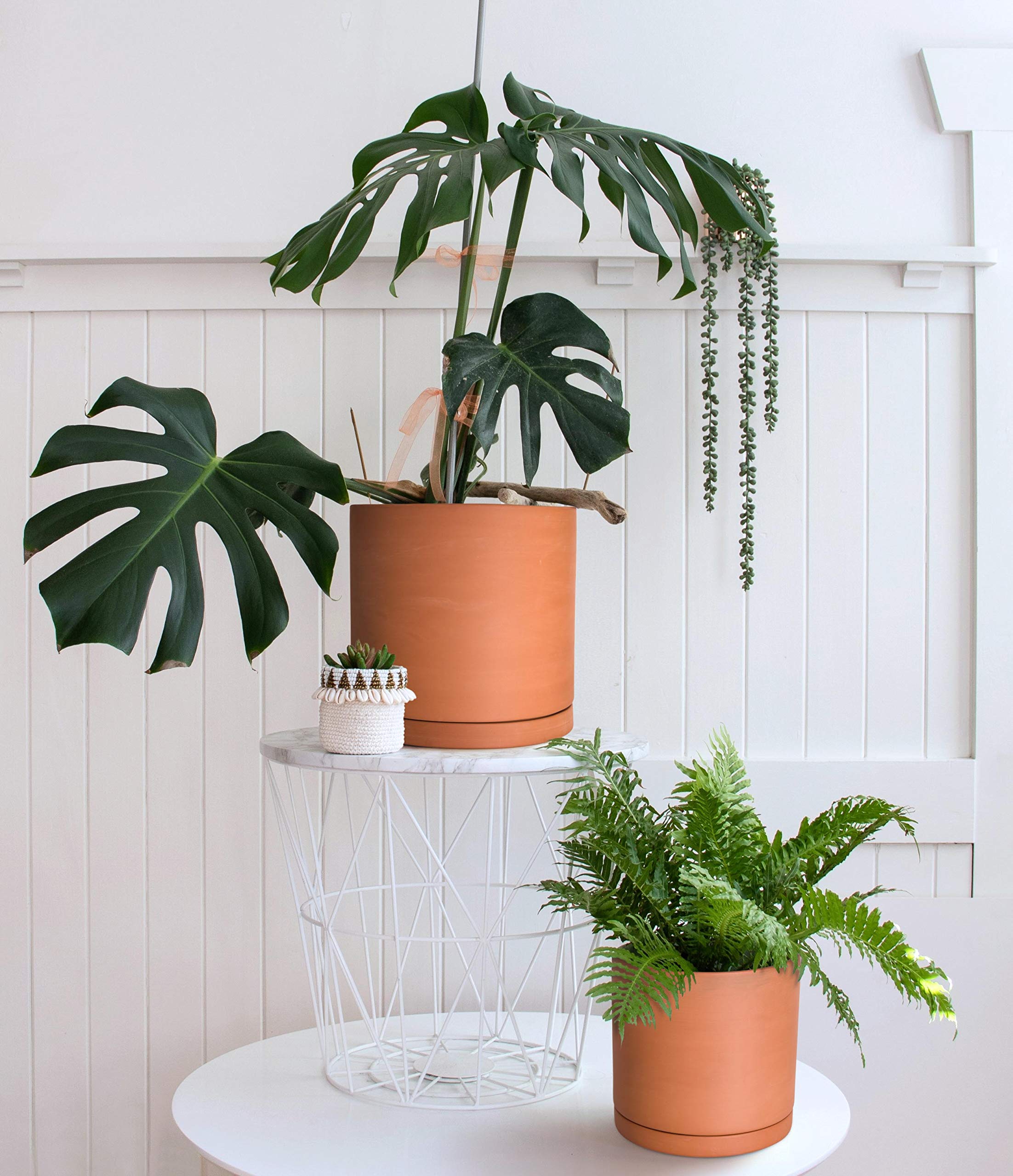 Terracotta Plant Pots with Drainage Hole & Saucer - 7.8