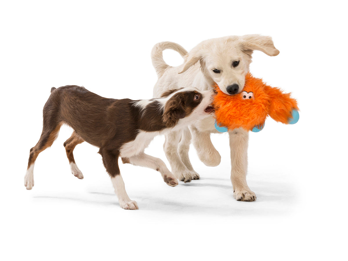 West Paw Design Jefferson Dog Toy - Durable Chew Toy for Aggressive Chewers, Interactive Play for Large & Small Dogs - Perfect for Indoor & Outdoor Fetch, Training, and Playtime