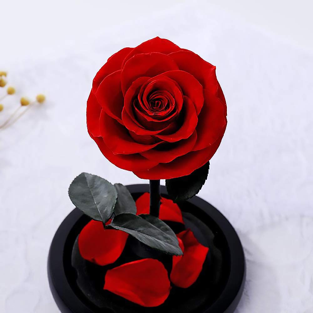 Beauty and The Beast Rose - Red Galaxy Glass Rose Handmade from Fresh Roses in Luxury Glass Dome - Perfect Valentine's Day, Mother's Day, Birthday Gift for Her - Romantic Home Decor & Special Occasion Present (1pc)