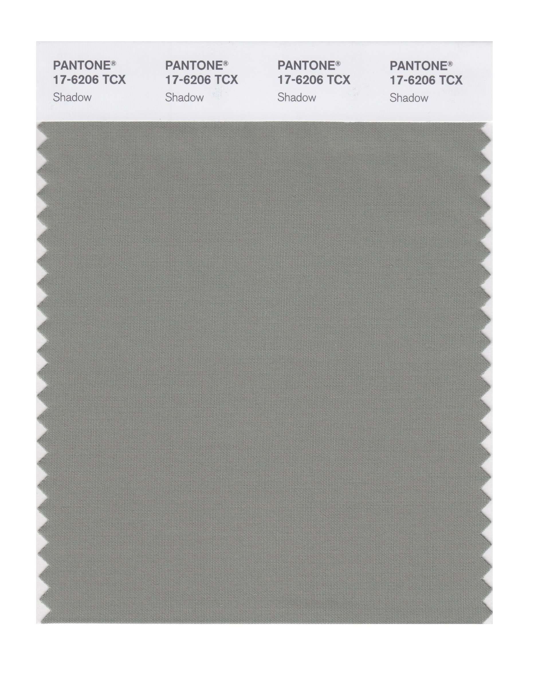 PANTONE Smart 17-6206X Shadow Color Swatch Card - Professional Color Matching Tool for Graphic Design, Printing & Branding