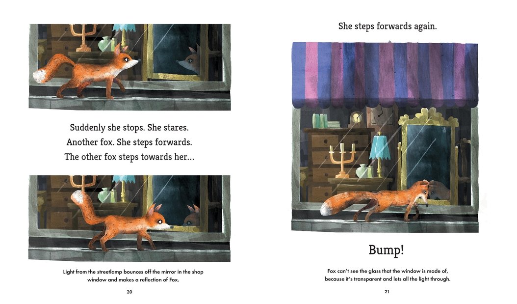 Fox in the Night: Educational Science Storybook for Kids About Light and Dark | STEM Learning, Bedtime Reading & Classroom Teaching Resource