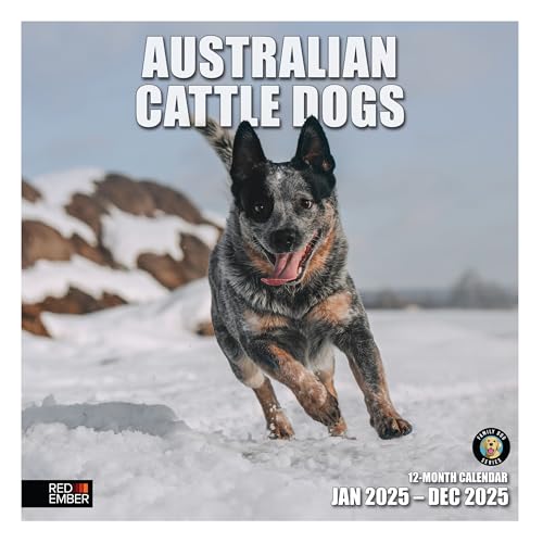 08 - Australian Cattle Dogs