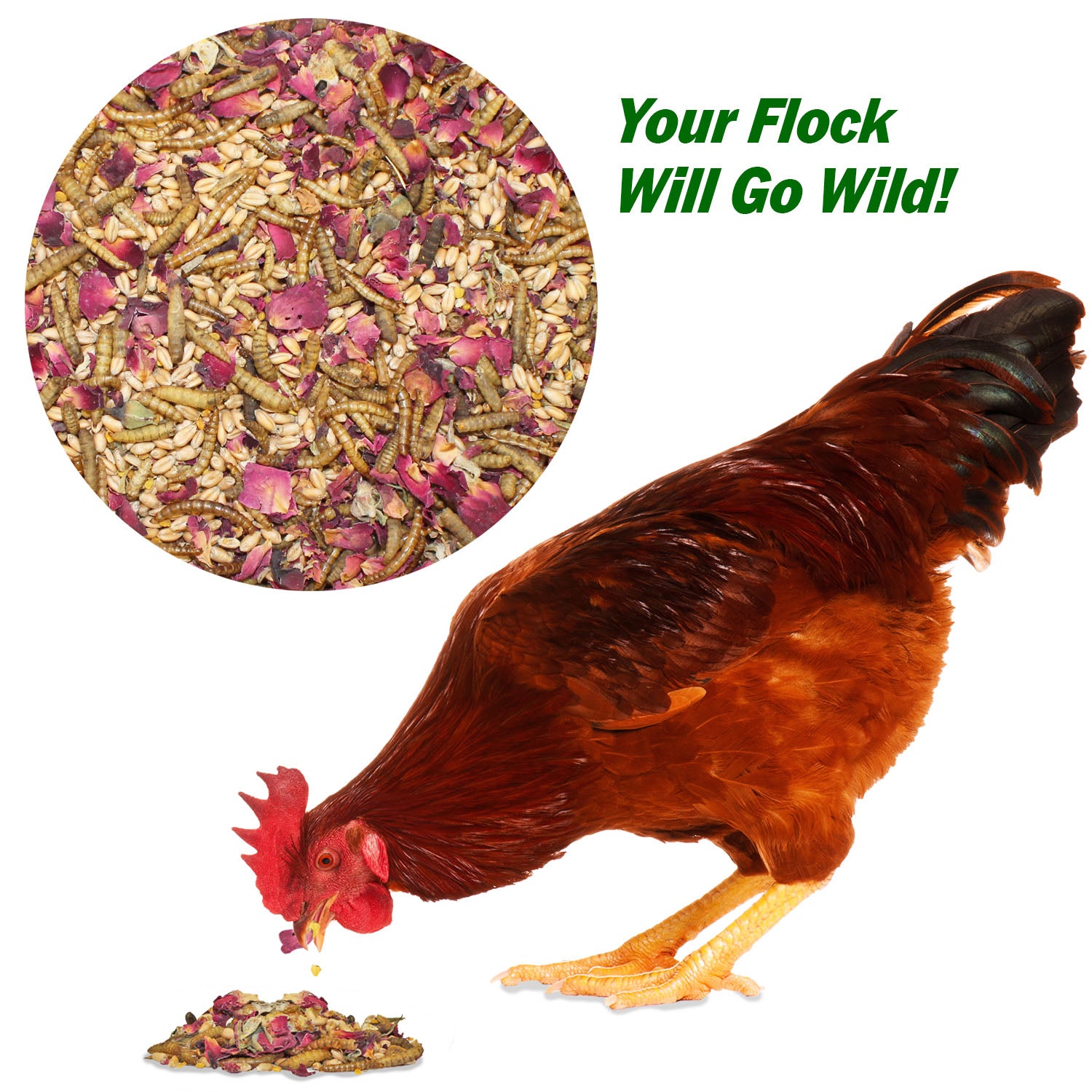 Organic Bee Pollen Chicken Treats for Backyard Hens - Healthy Poultry Snack for Egg Laying & Feather Health - Perfect for Coop Training & Flock Bonding