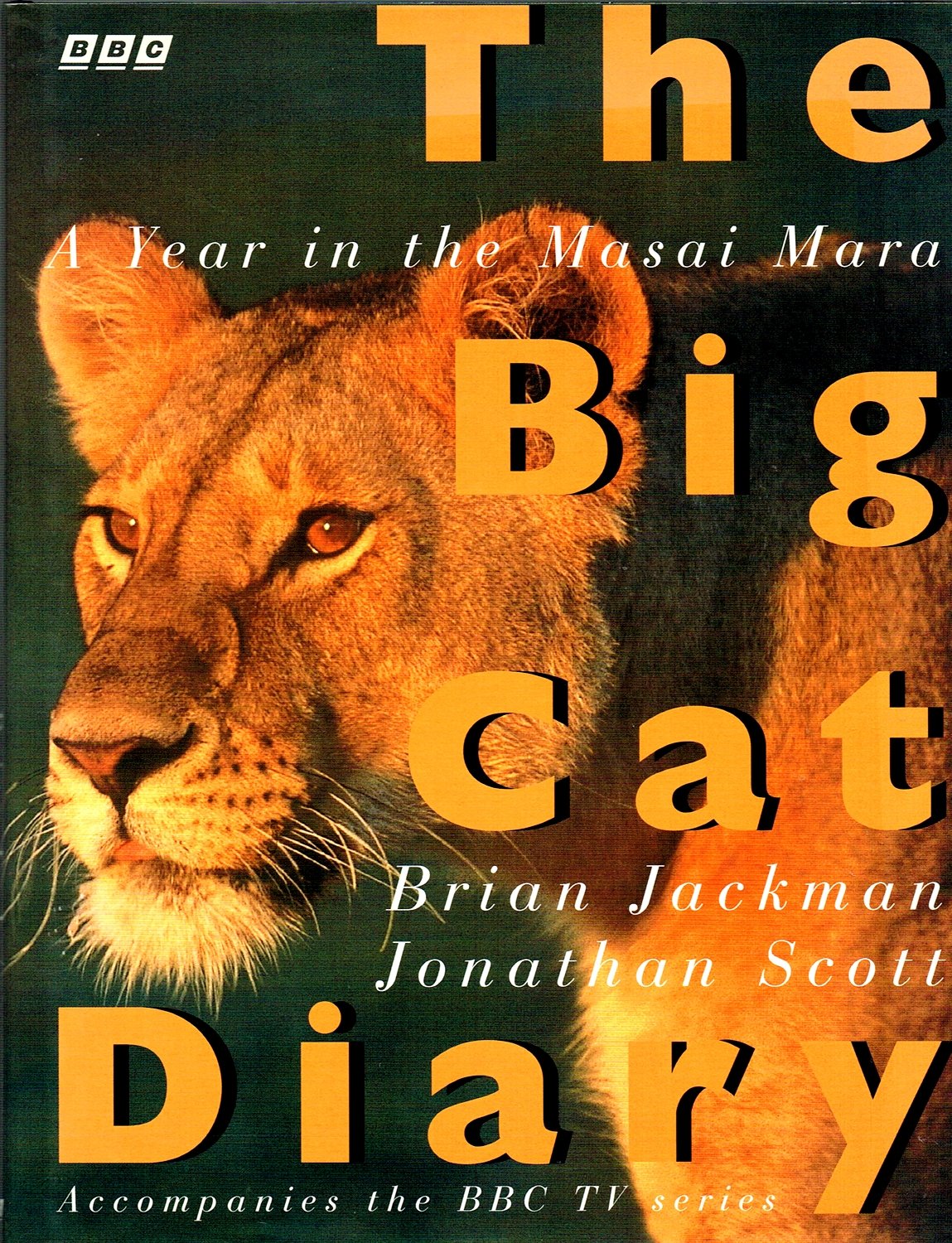 The Big Cat Diary: A Year in the Masai Mara - Wildlife Documentary DVD - Perfect for Nature Lovers & Safari Enthusiasts