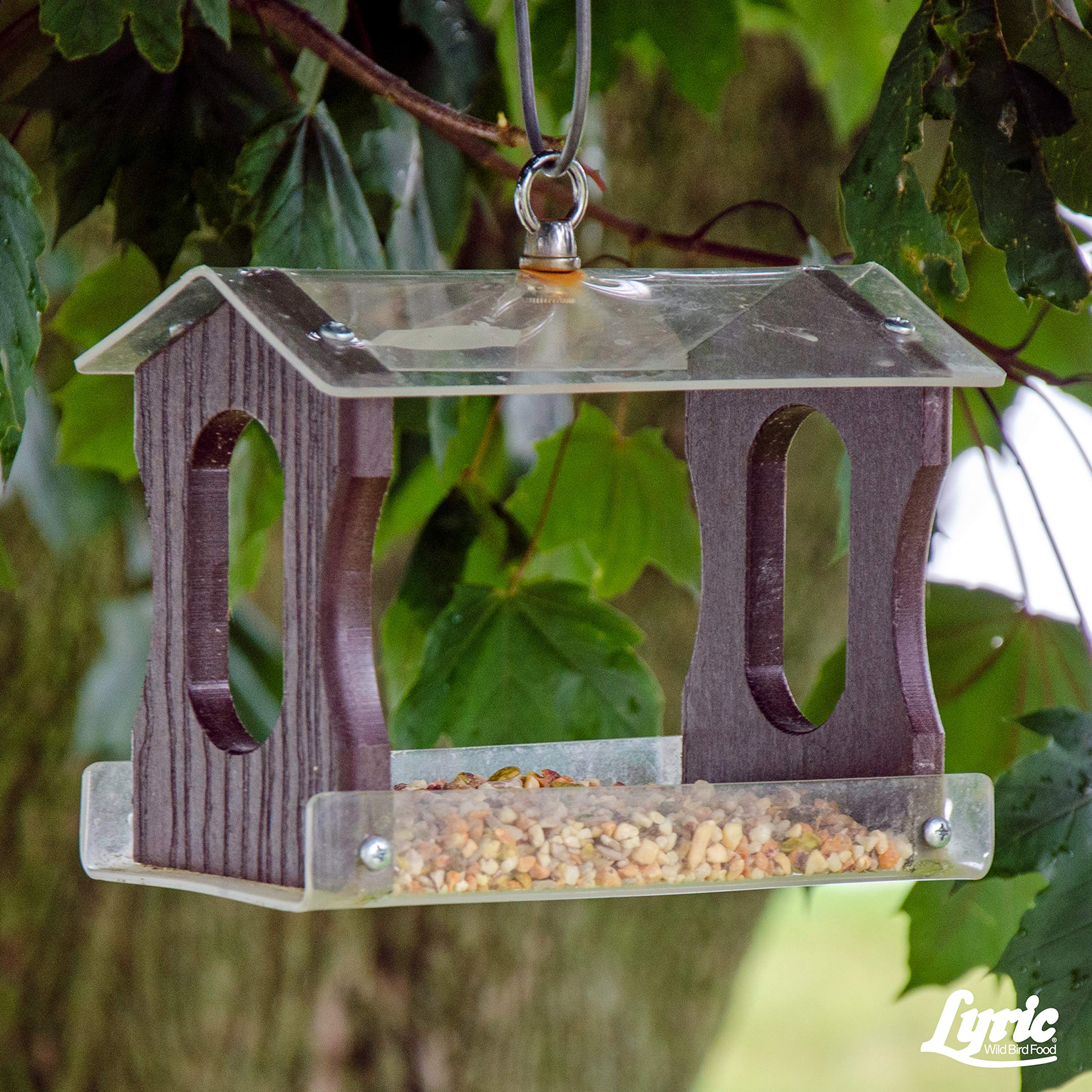 Lyric Fine Tunes No Waste Wild Bird Seed Mix - Premium 15lb Bag for Bluebirds, Finches, Chickadees & More - Attracts Colorful Songbirds to Your Backyard - Perfect for Bird Feeders, Gardens & Wildlife Watching