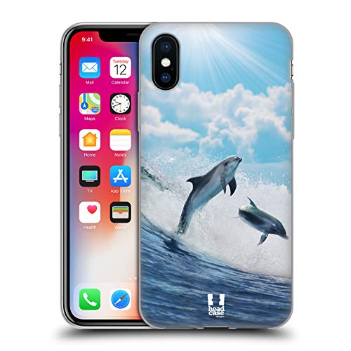 Happy Surfing Dolphins