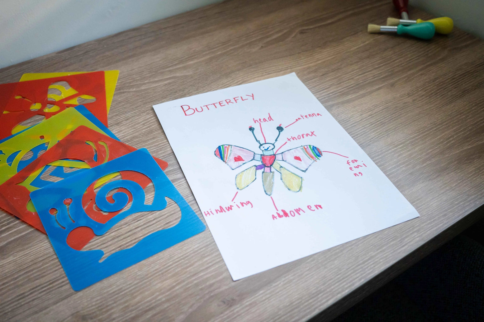 Castle & Kite 6-Pack Insect Stencils for Kids Art Projects - Butterfly, Dragonfly, Bee & More - Perfect for DIY Crafts, Classroom Activities & Wall Decor