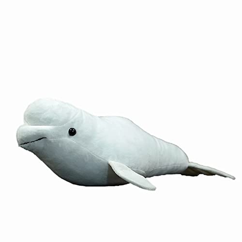 Beluga