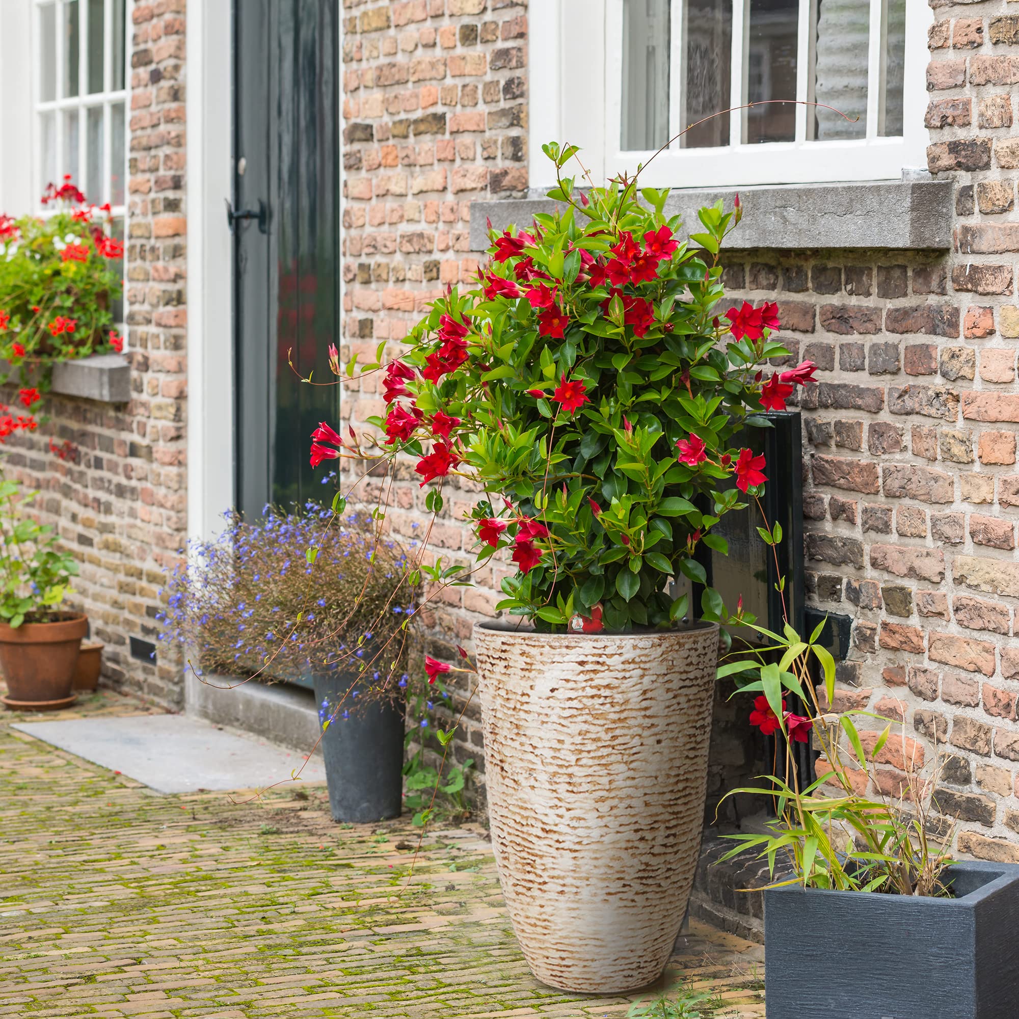 Set of 2 Unbreakable 9 Gallon Tall Round Planters - 14