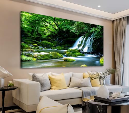 Green Forest Waterfall Stream