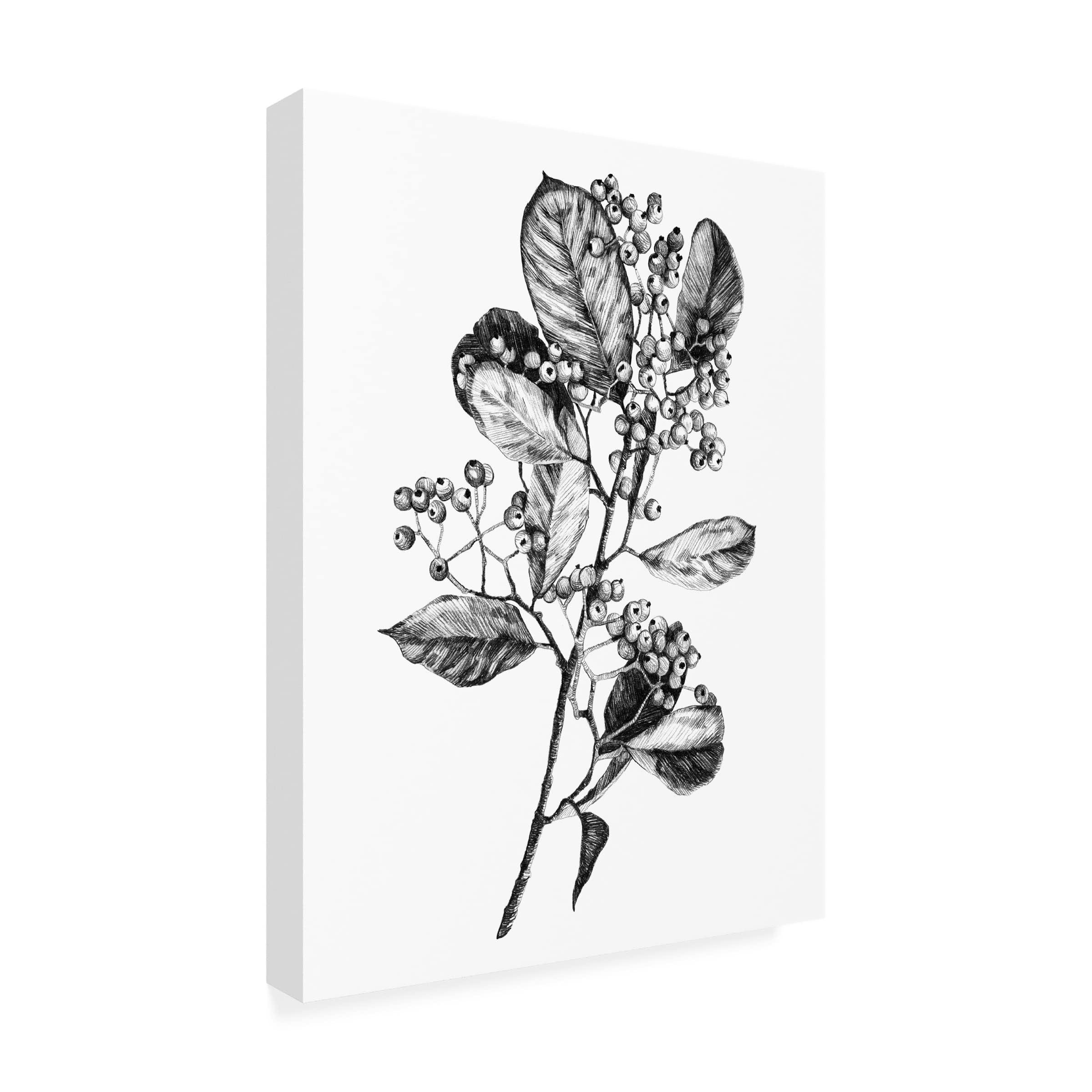 Emma Scarvey 'Hawthorn Berry Branch I' Canvas Art Print - Botanical Wall Decor for Living Room, Bedroom & Office | Trademark Fine Art