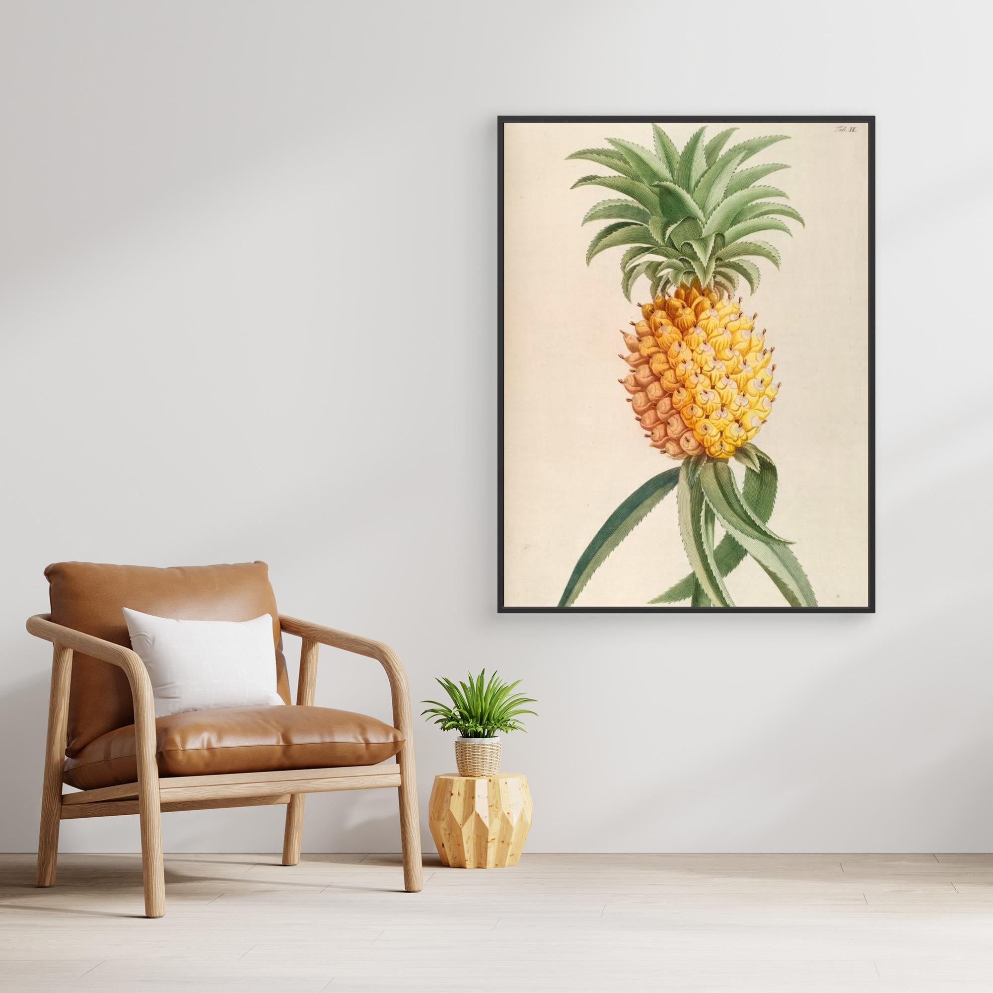 Elizabeth C Pineapple Canvas Print - Tropical Fruit Art Wall Decor for Living Room, Bedroom & Office
