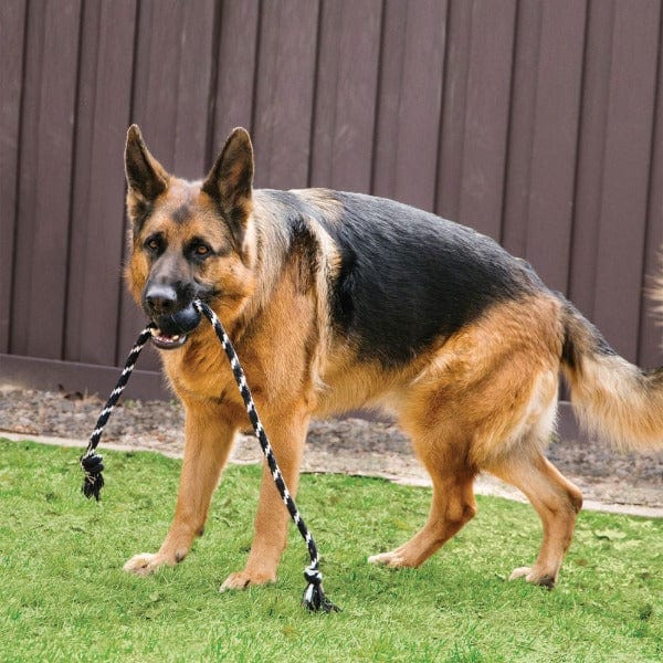 KONG Extreme Ball with Rope - Durable Chew Toy for Large Dogs - Perfect for Fetch, Tug-of-War & Aggressive Chewers