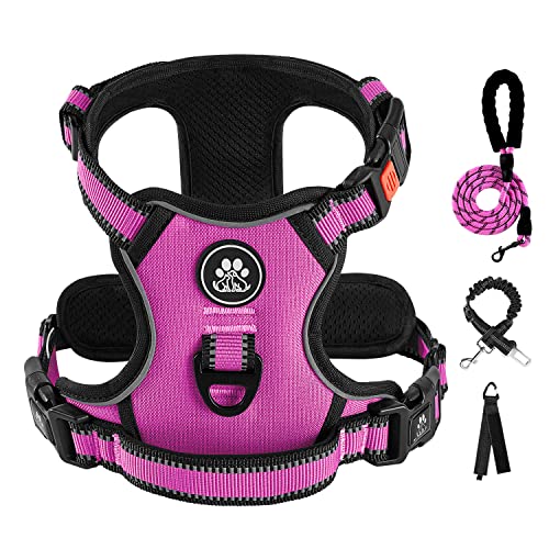 Fuchsia Pink