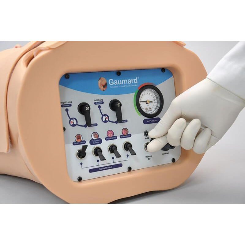 HAL® Adult Multipurpose Airway and CPR Training Manikin - Lightweight Medical Practice Dummy for First Aid, Nursing & Emergency Response Training - Perfect for Hospitals, Schools & CPR Certification Courses