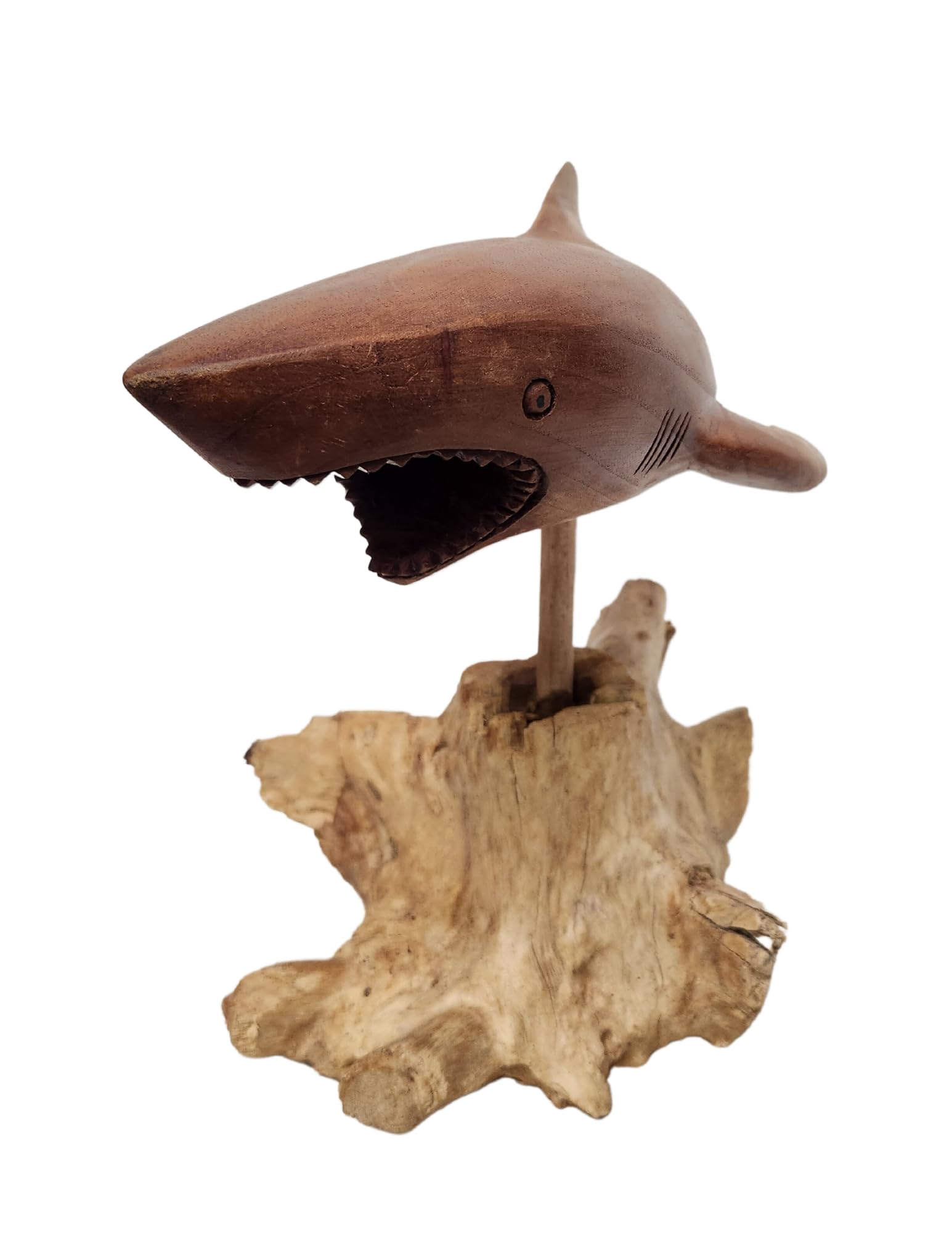 Hand Carved Wooden Shark Sculpture - MACO Shark on Coral Stand - Unique Nautical Ocean Decor for Home, Office, or Beach House - Perfect Gift for Shark Lovers & Marine Theme Enthusiasts