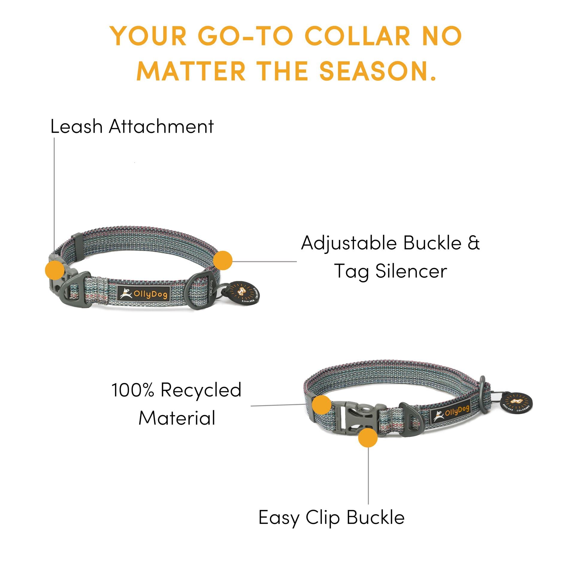OllyDog Rescue Adjustable Dog Collar with Heavy-Duty Buckle - Lightweight Training Collar for Small, Medium & Large Dogs (Large, Prism) - Perfect for Daily Walks, Training & Outdoor Adventures