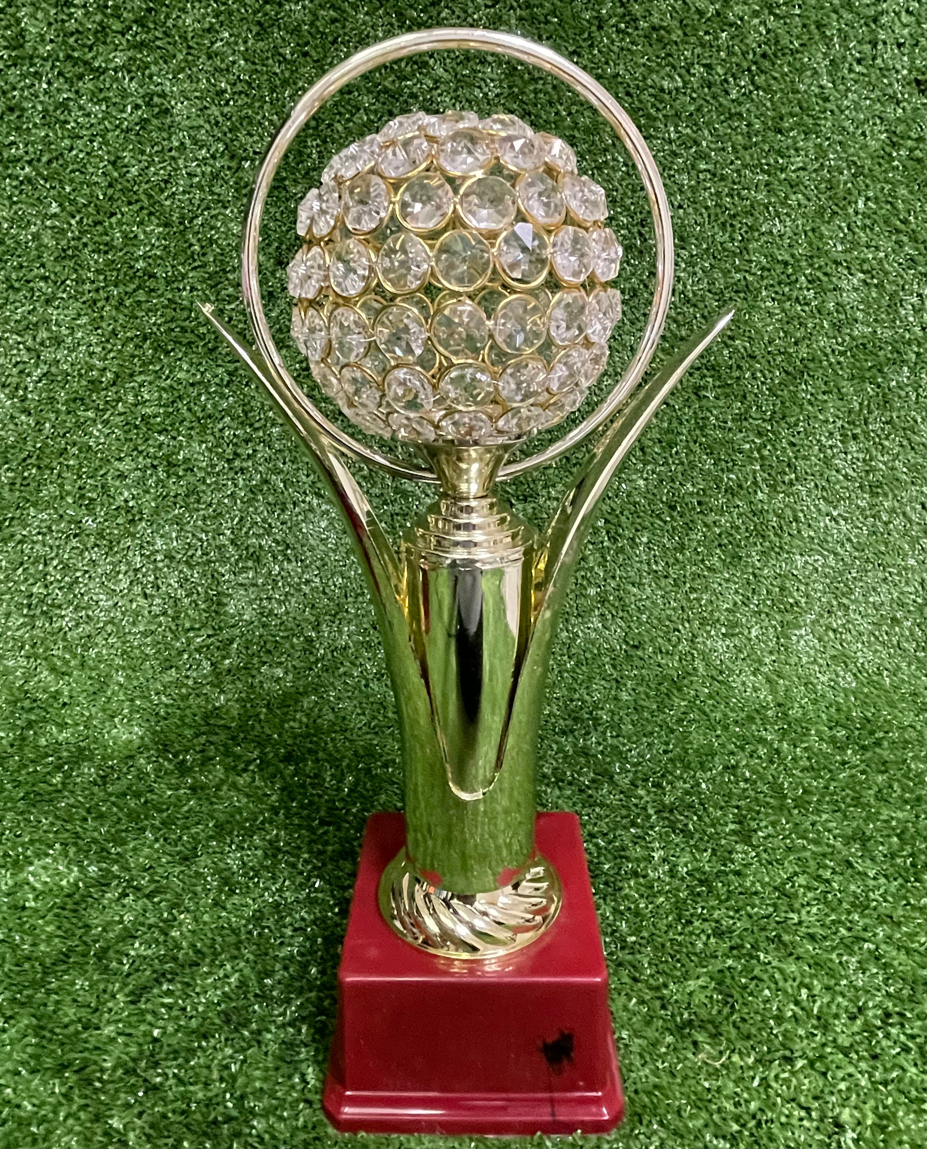 Raydn 15-Inch Cricket Trophy with Globe - Perfect for Awards, Tournaments & Sports Decor