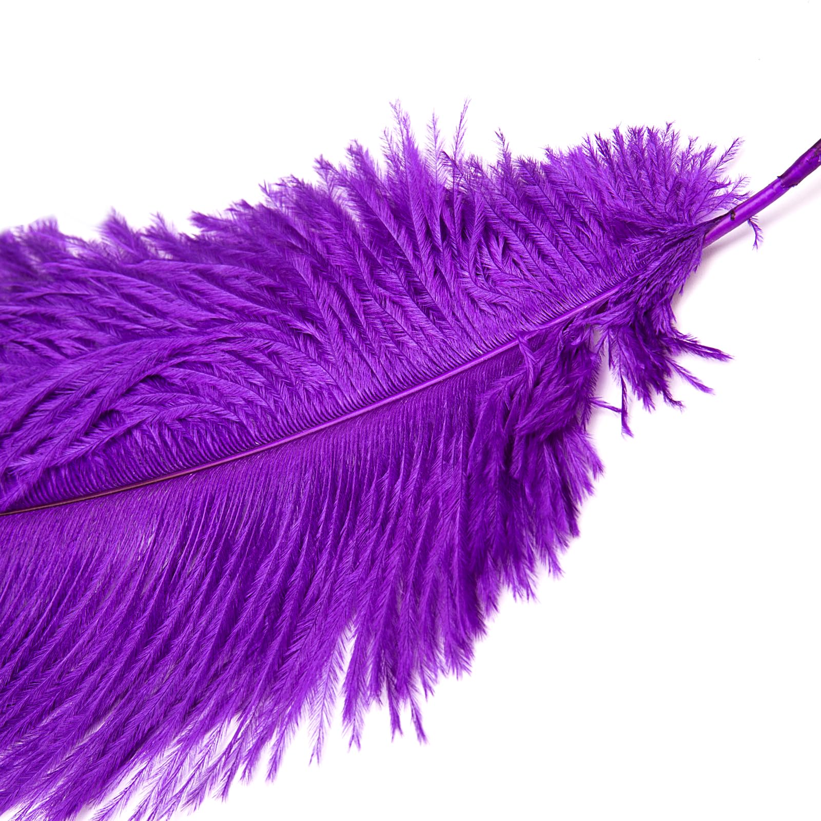 Purple Feather Tickler Toy for Couples - Sensual Teasing & Flirting Adult SM Prop - Enhance Intimacy & Playful Moments in the Bedroom