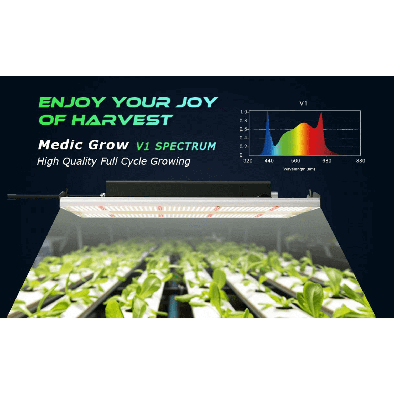 Medic Grow Mini Sun 2 240W Full Spectrum LED Grow Light for Indoor Plants - Hydroponics, Greenhouse & Home Gardening
