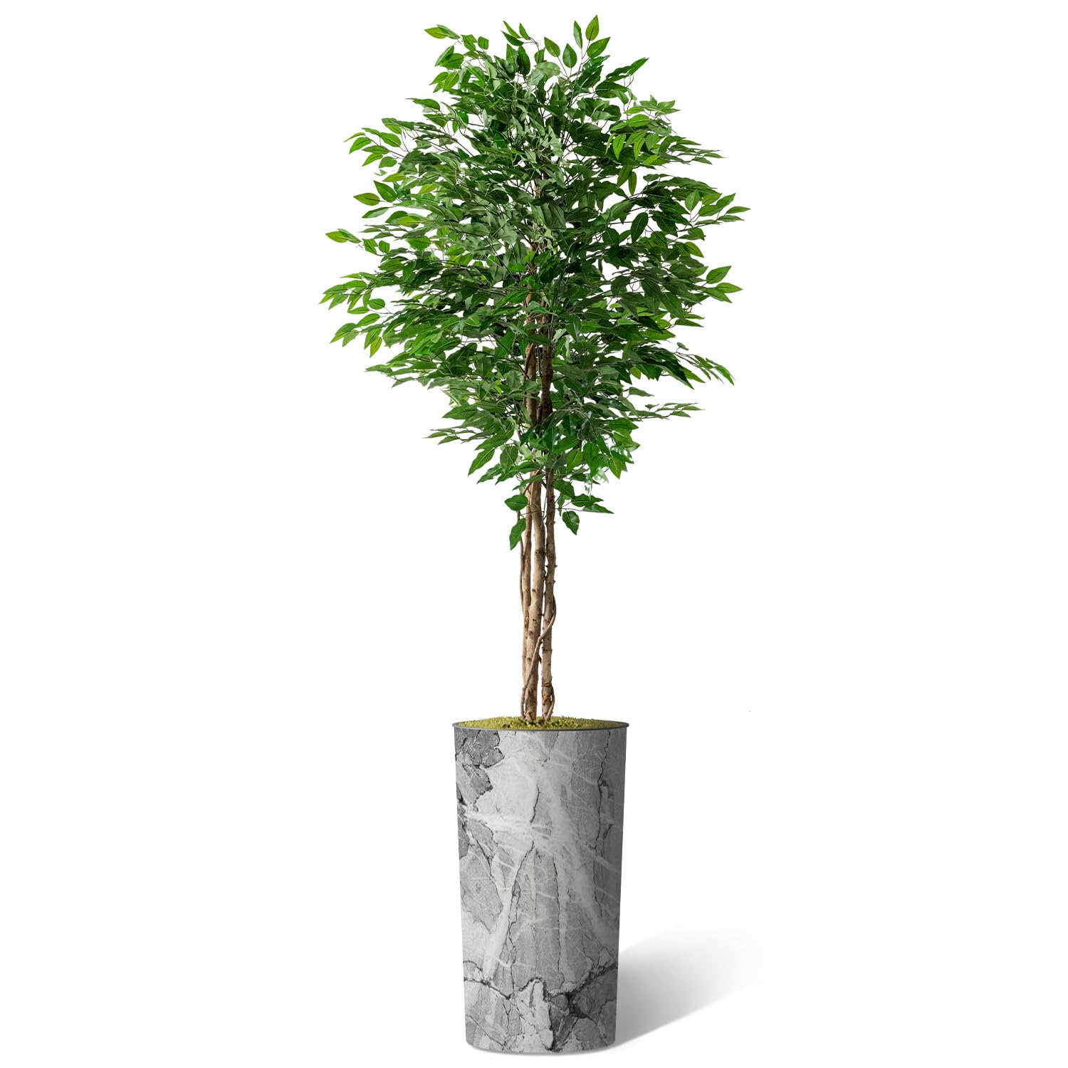 Artificial Ficus Silk Tree in Modern Planter - 75
