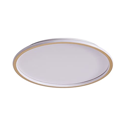 Minimalist Gold LED Flush Mount Ceiling Light - 16