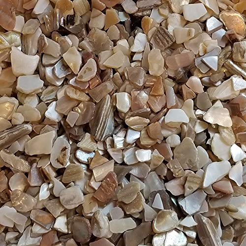 Natural Pearl