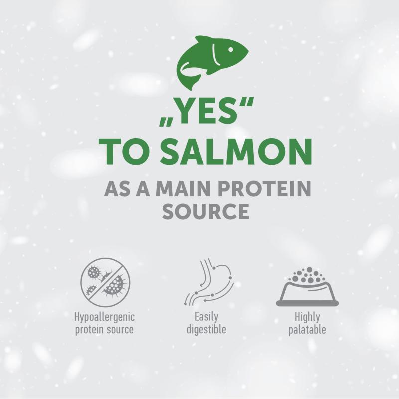 Premium Salmon Dog Treats for Puppies - Supports Digestion & Boosts Immunity - Perfect for Training & Healthy Rewards