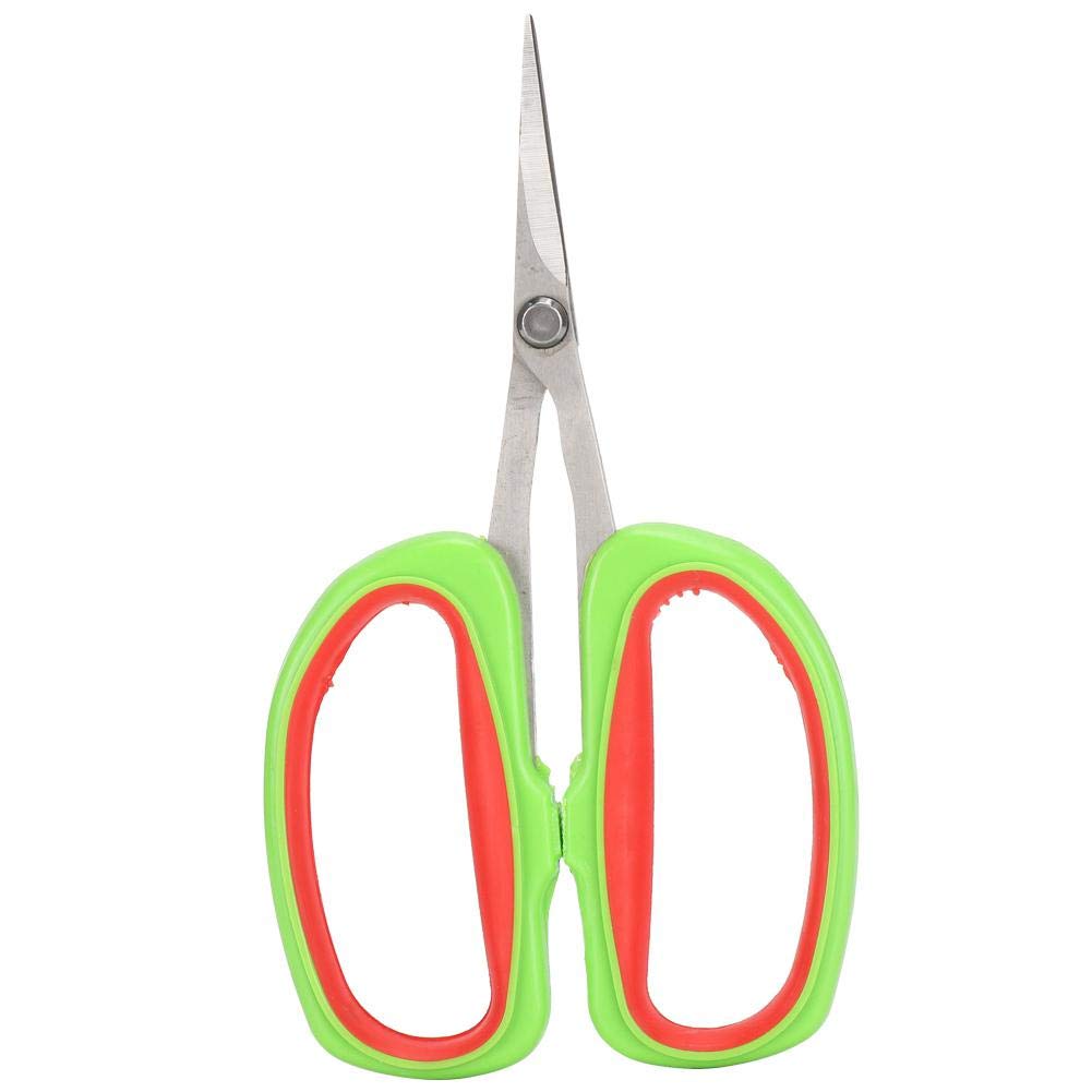 Japanese Bonsai Scissors - Stainless Steel Pruning Shears for Fruit Trees & Grape Vines - Perfect for Garden Trimming