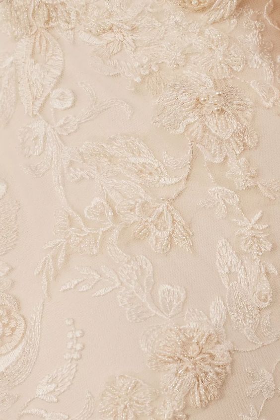 Jenny Yoo Braylin Wedding Gown - Elegant A-Line Bridal Dress with Lace Details | Perfect for Church Ceremonies & Beach Weddings