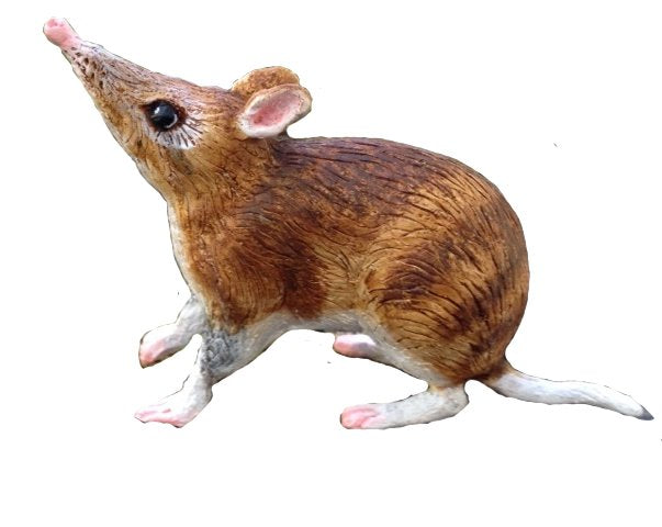 Realistic Australian Animal Figurines Set - Kangaroo, Koala, Wombat & More - Educational Wildlife Toys for Kids Collection | Perfect for Classroom, Playroom & Safari Themed Decor