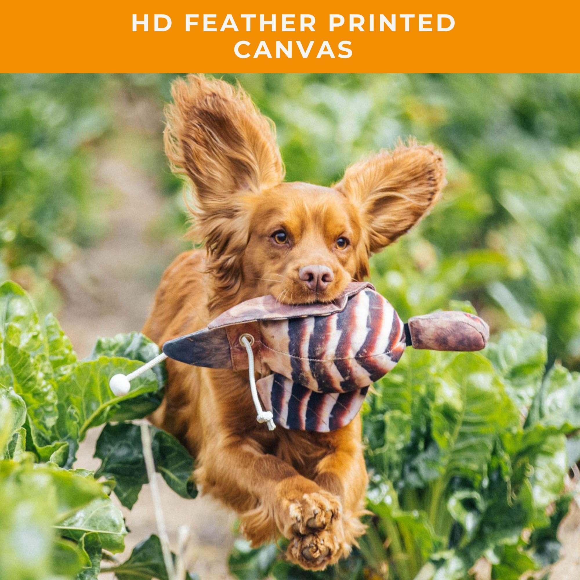 Realistic Game Bird Dog Training Dummy - HD Feather Print Canvas Hunting Dummy for Gundog & Puppy Training - Waterfowl Retrieval Practice - Perfect for Field Training, Backyard Drills & Hunting Dog Equipment