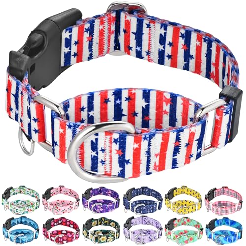Red Blue Patriotic Stripes