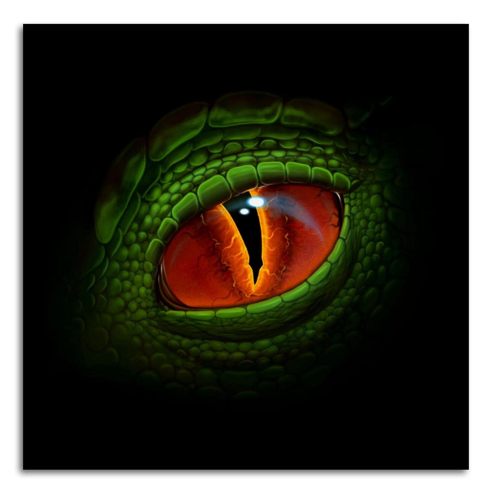 Modern Dragon Eye Canvas Wall Art - Green Frameless Print 24x24 Inch for Bathroom, Bedroom & Kitchen Decor