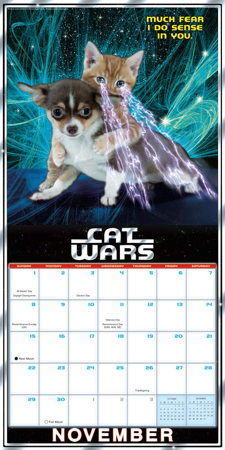 Cat Wars 2020 Wall Calendar - Cute Cat Theme Planner for Home & Office - Perfect for Cat Lovers, Pet Owners, and Gift Giving
