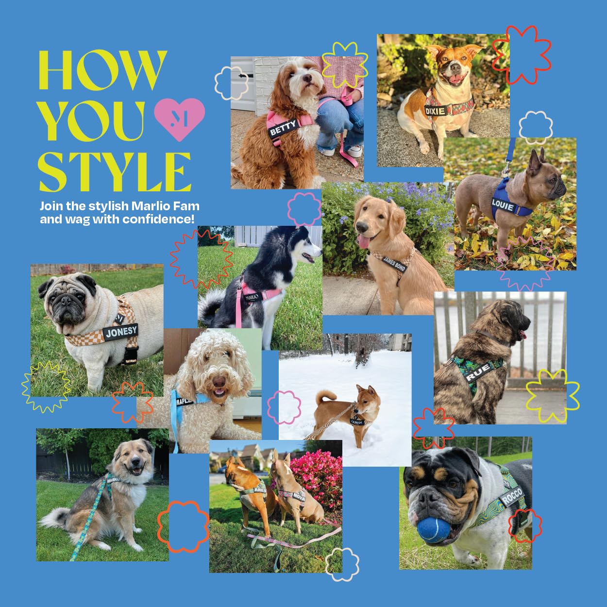 Marlio Adjustable No-Pull Dog Harness - Choke-Free, Comfortable & Stylish Pet Walking Gear with Easy-On Design, Unique Prints & Matching Leash - Small Size Solid Black - Perfect for Daily Walks, Training & Outdoor Adventures