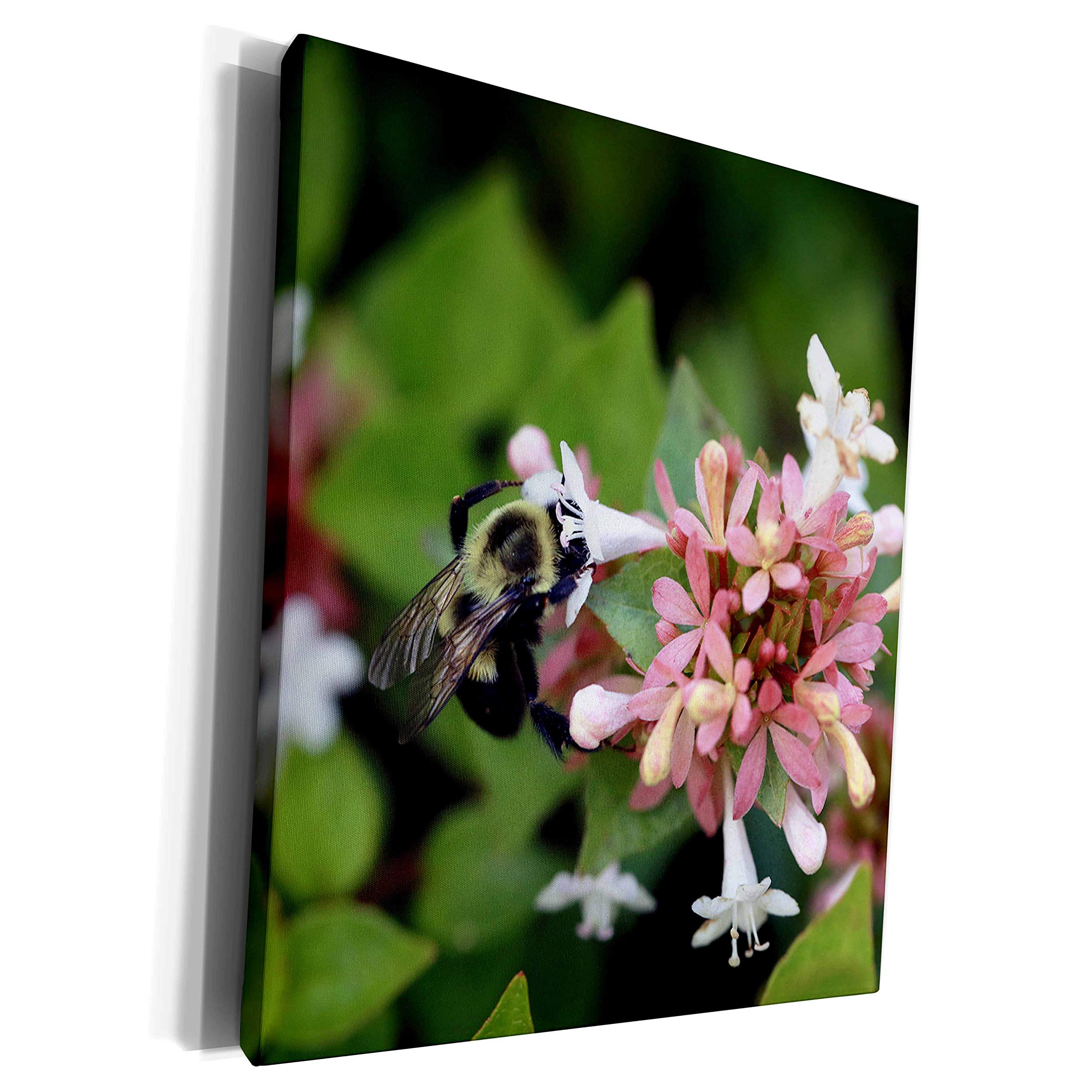 3D Rose Museum Grade Canvas Wrap - Premium Multicolor Art Print for Home & Office Decor - Perfect for Living Room, Bedroom, or Gallery Wall Display