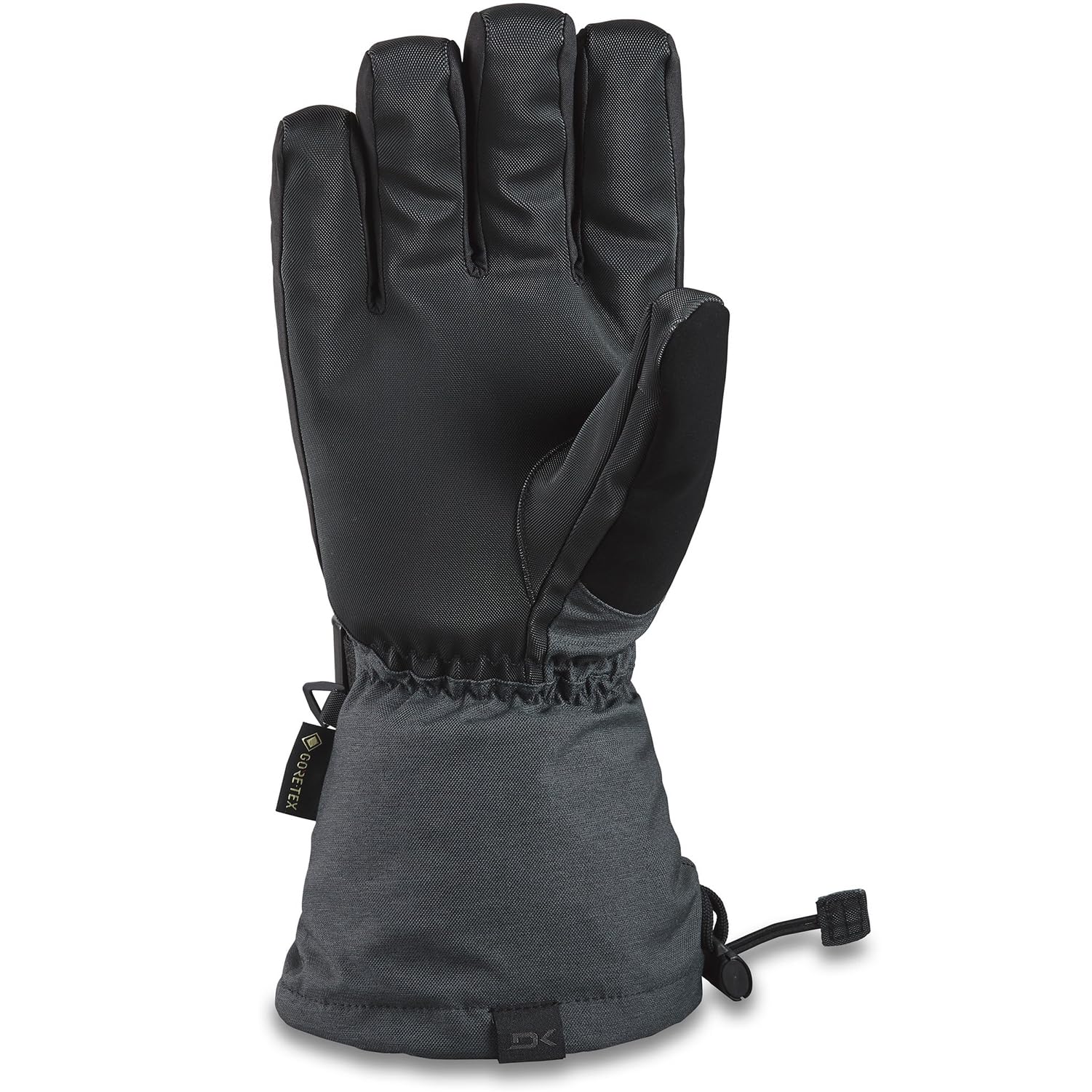 Dakine Men's Titan Gore-Tex Ski and Snowboard Gloves - Waterproof, Insulated Winter Gloves for Cold Weather & Extreme Sports - Perfect for Skiing, Snowboarding & Outdoor Adventures