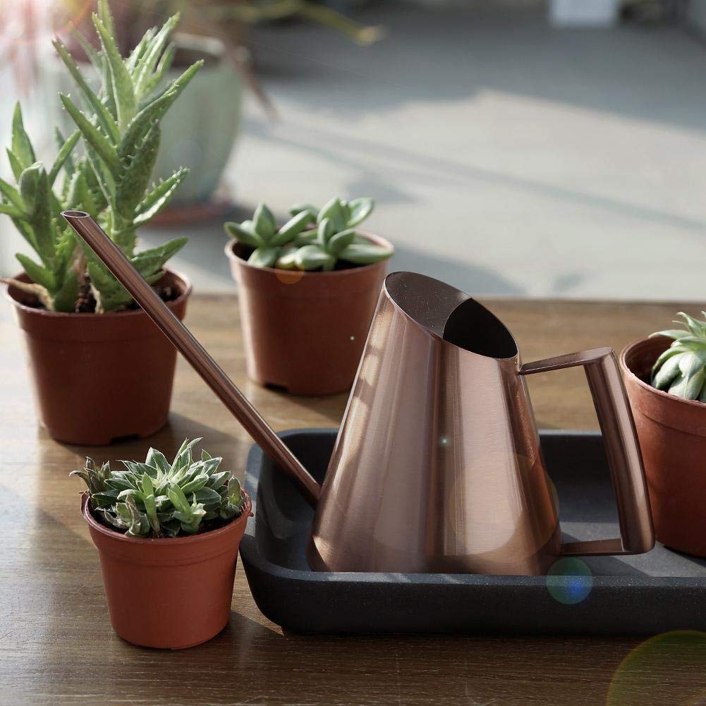Stainless Steel Watering Can for Indoor Plants - Long Narrow Spout Bonsai Flower Pot for Home, Garden, Patio & Yard | Perfect for Delicate Watering of Houseplants, Succulents & Small Gardens