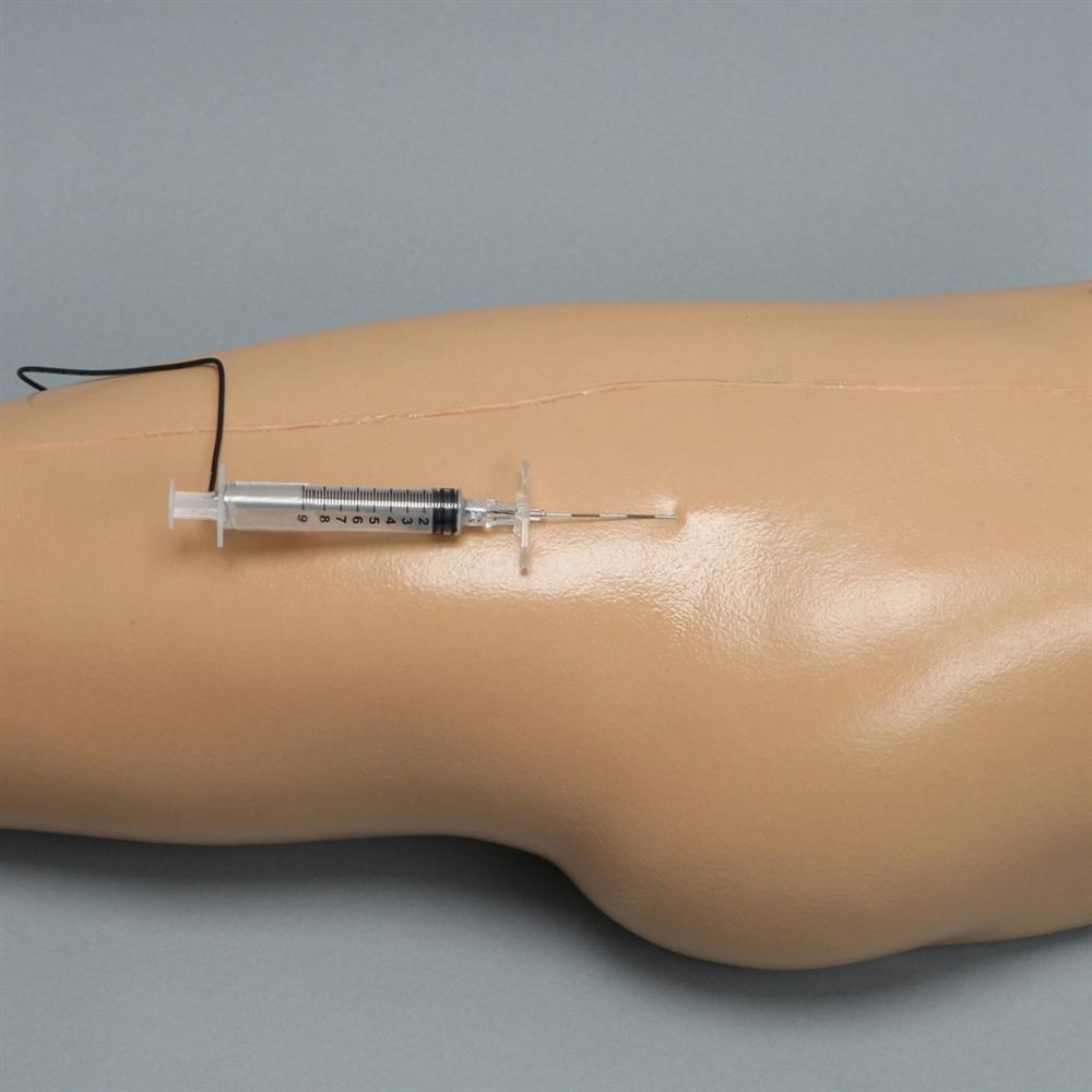 Hip Injection Model - Medical Training Simulator for Injection Practice | Ideal for Nursing Students, Doctors & Healthcare Professionals