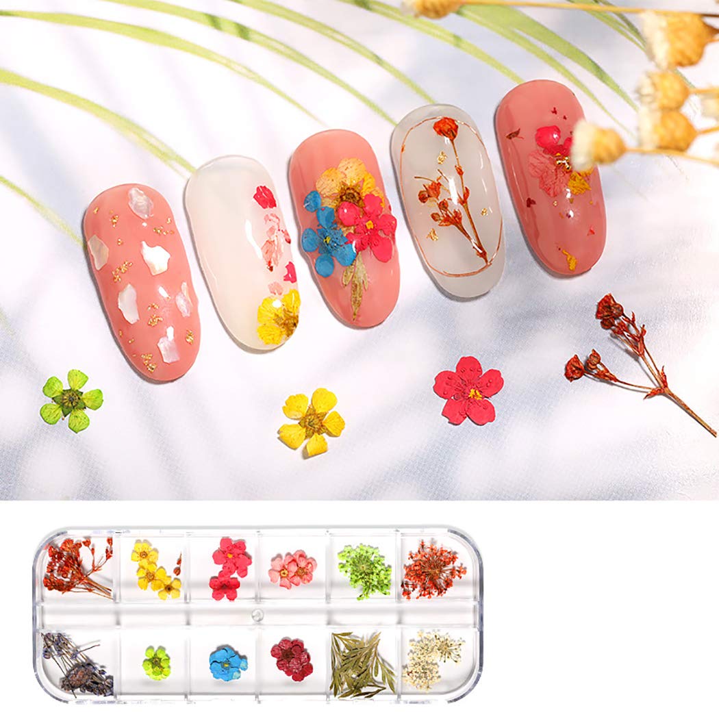 Dorakitten 3 Sets Pressed Dried Flower Nail Art Decorations - Floral Nail Art Supplies & Accessories for DIY Manicure, Wedding, Party Nail Designs
