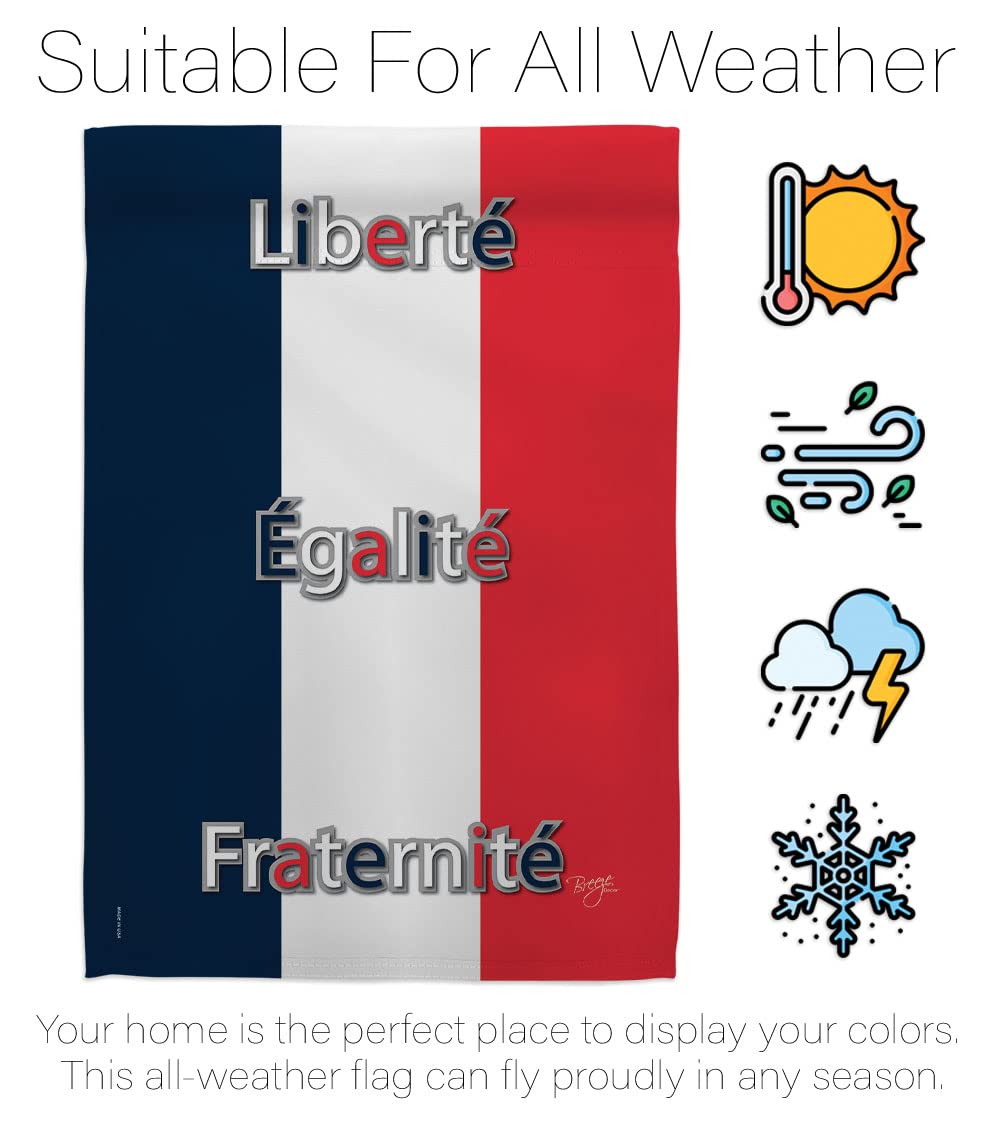 France World Nationality Flag Set 28