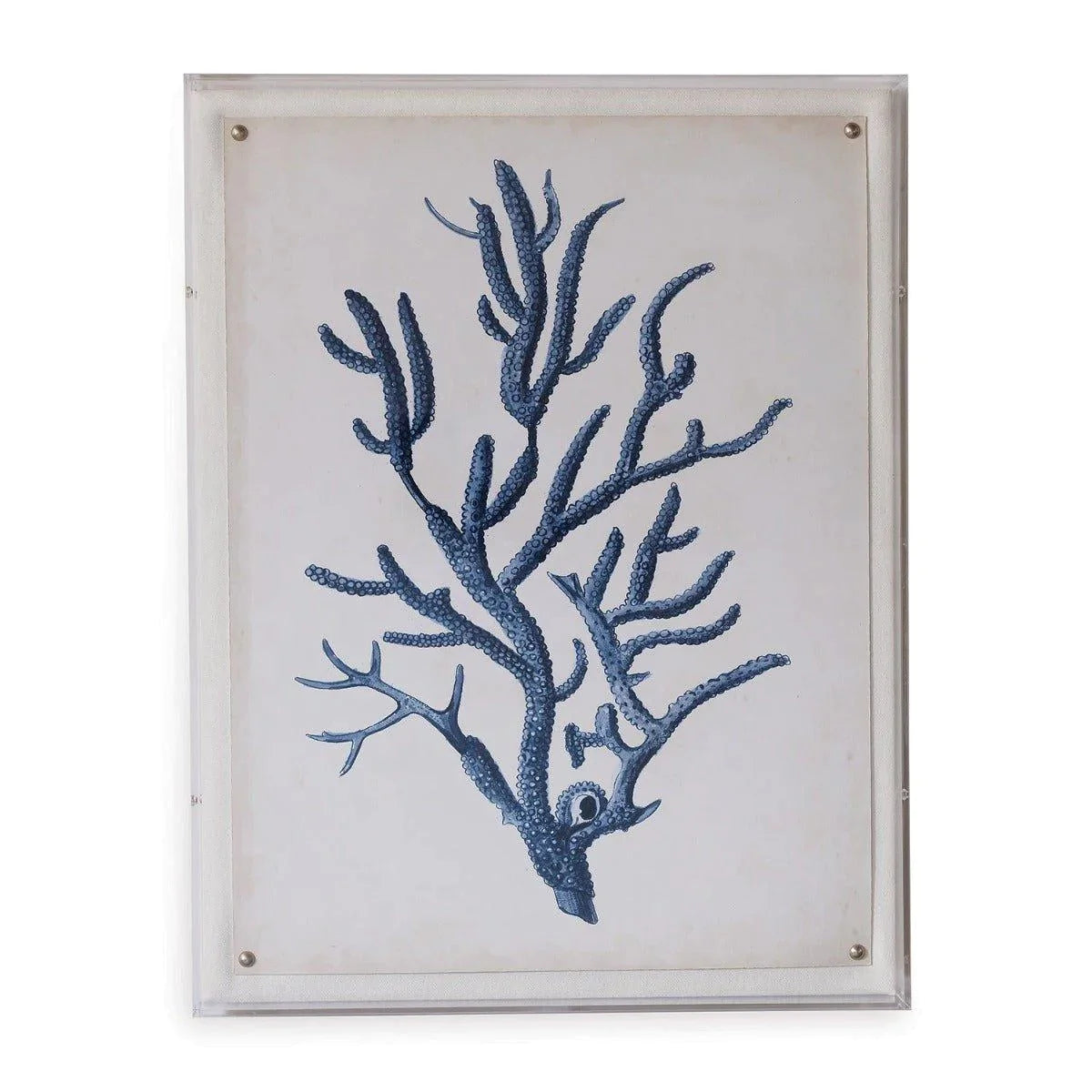 Blue Coral IV Giclee Print in Lucite Shadow Box - Premium Wall Art for Home & Office Decor - Perfect for Living Room, Bedroom, or Gallery Display