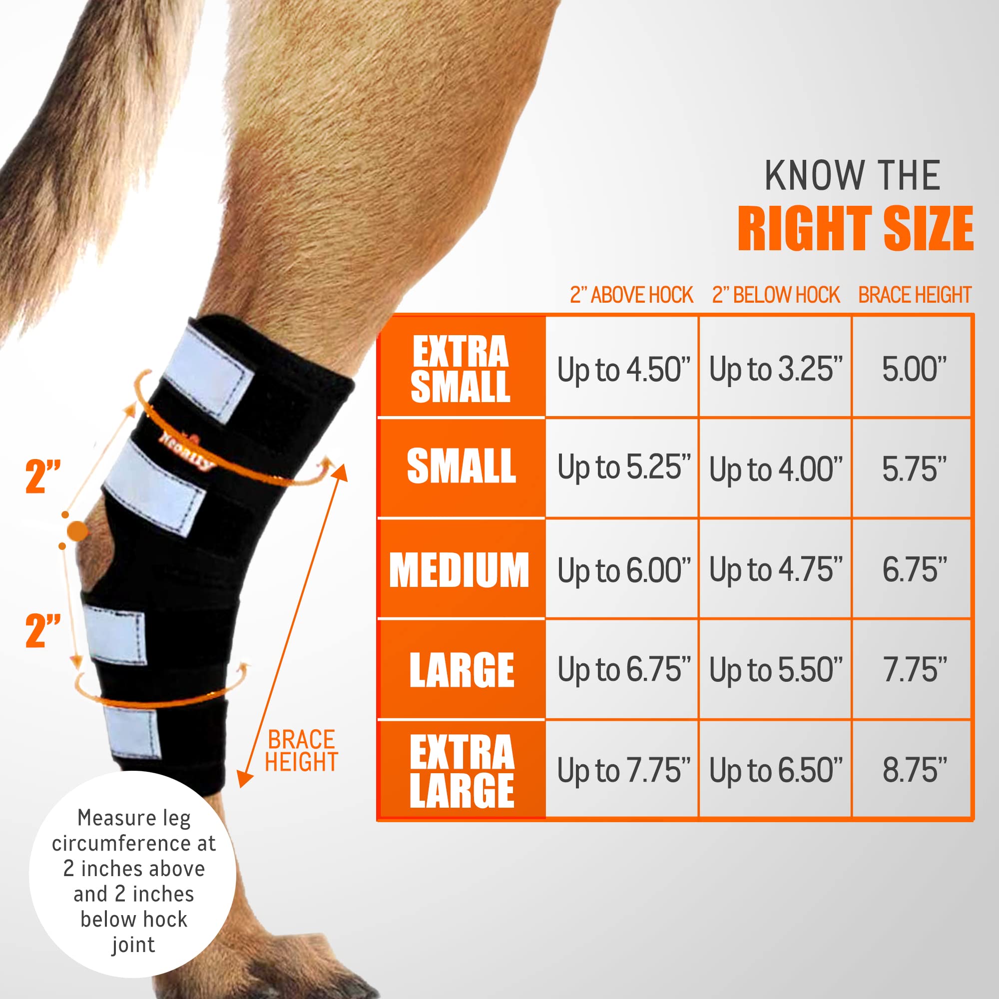 NeoAlly® Dog Rear Leg Hock Brace - Support for Large Dogs with Torn ACL/CCL, Ankle & Joint Protection - Long Version Small (1 Pair) - Ideal for Post-Surgery Recovery & Active Dogs